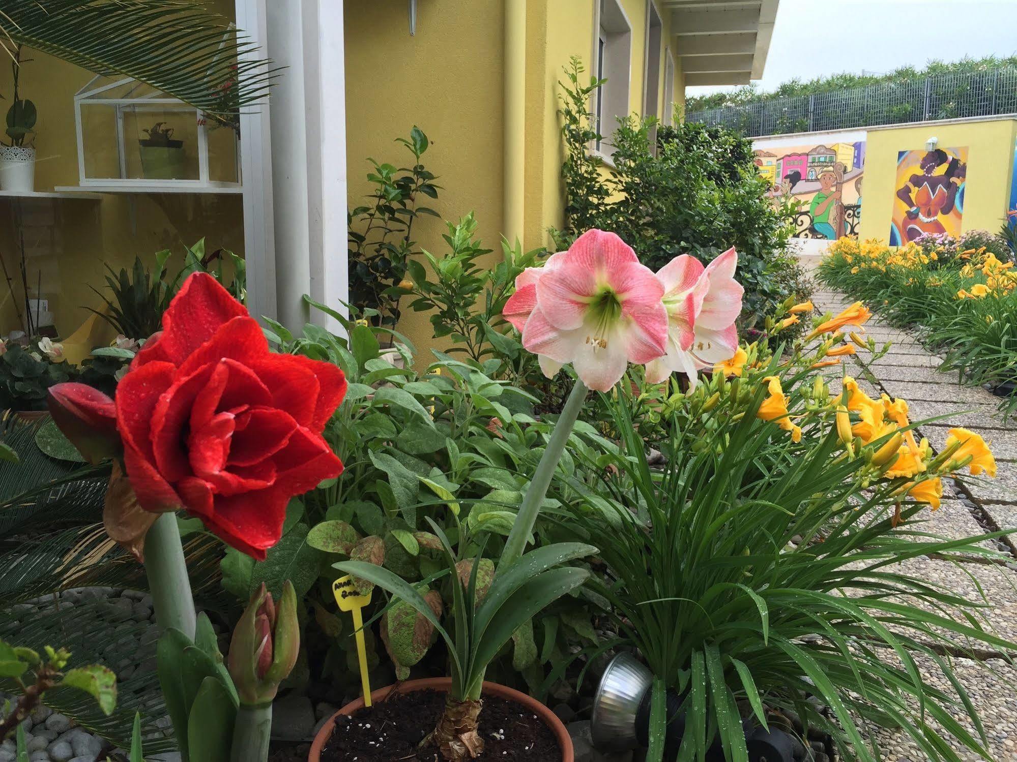바리 La Casa (Adults Only) B&B 외부 사진